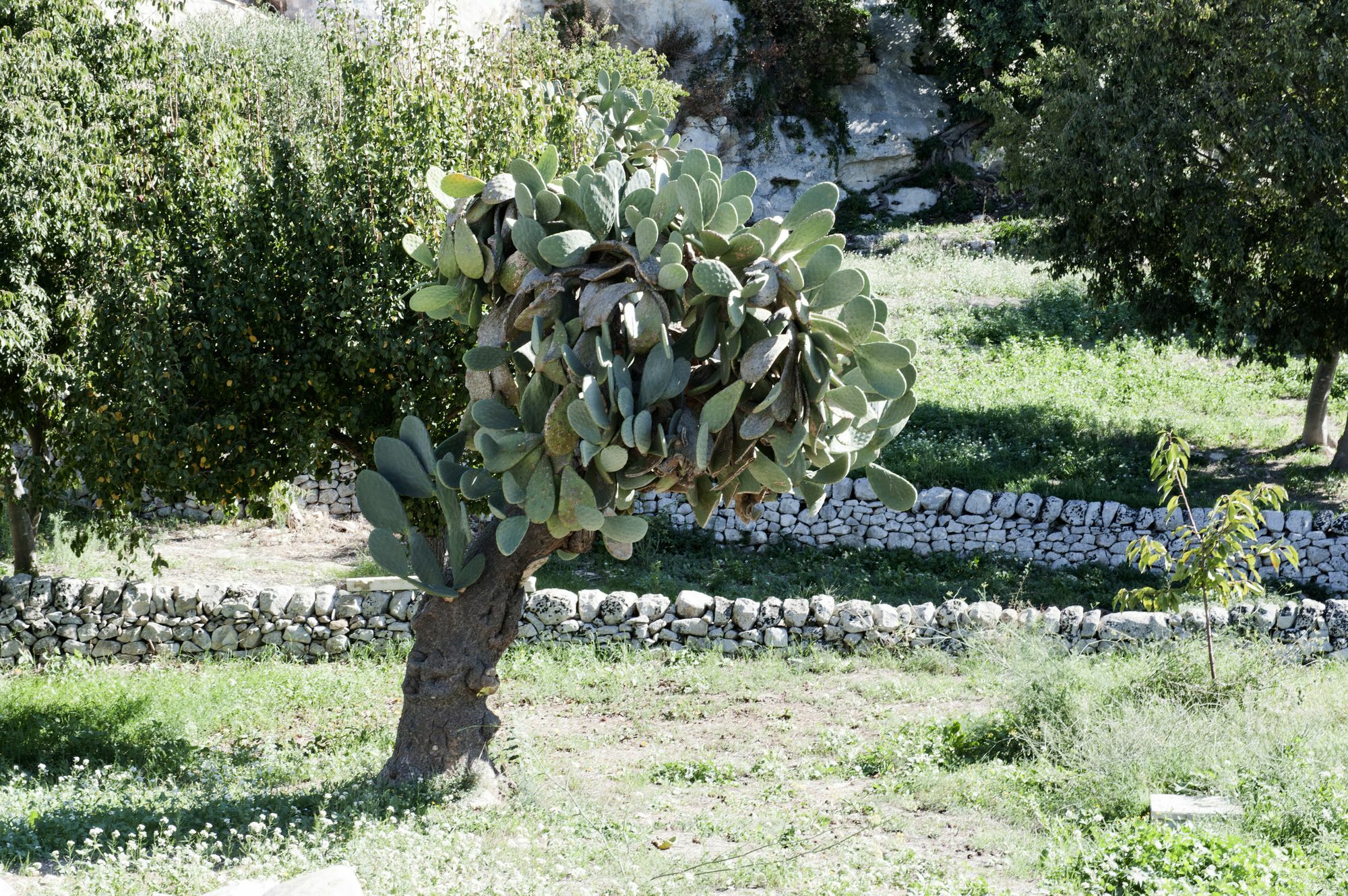 Valle Dell'Acanto Modica Exterior foto